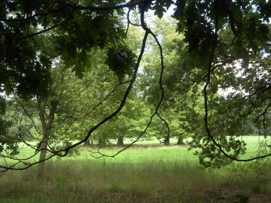 Loopgravenpad Mastenbos