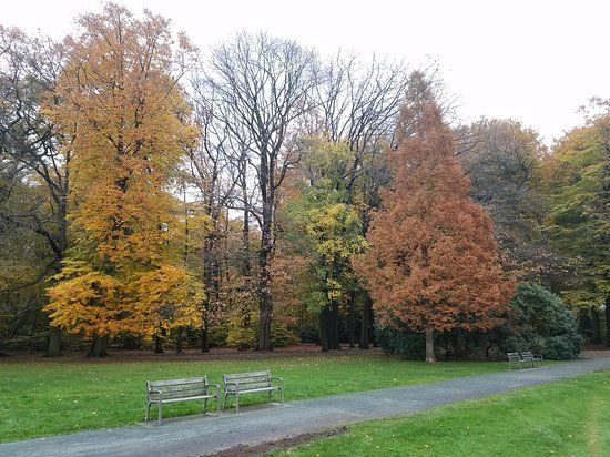 Te Boelaarpark