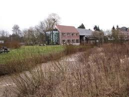 Grote Netewoud