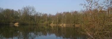 Walenhoek