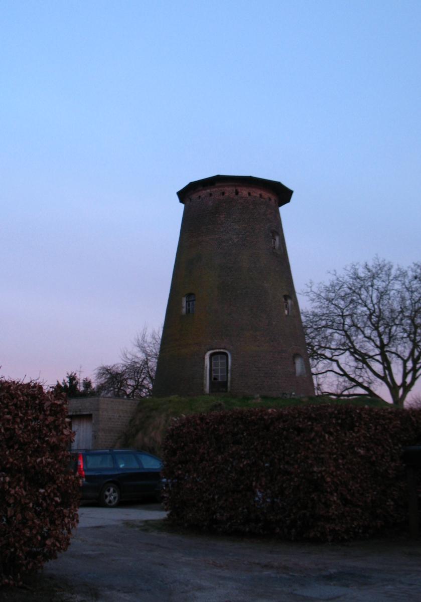 Heimeulen