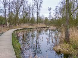 Hobokense Polder