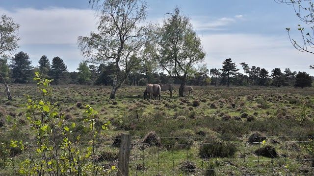 Bezoekerscentrum Landschap De Liereman