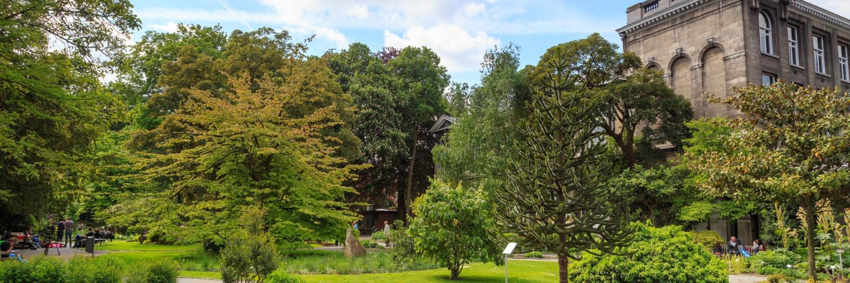 Plantentuin